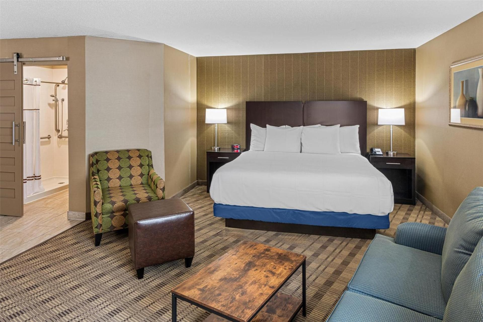 Accessible - Suite 1 King Bed, Mobility Accessible, Roll In Shower, Sofabed, Work Desk, Microwave An