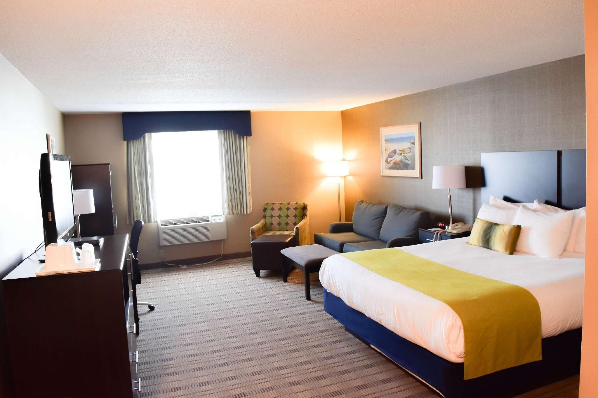 Accessible - Suite 1 King Bed, Mobility Accessible, Roll In Shower, Sofabed, Work Desk, Microwave An
