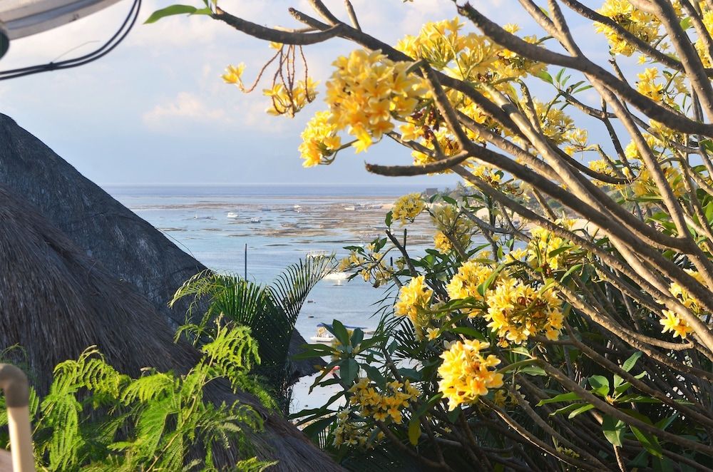 Aqua Nusa - Boutique Lembongan Villas Villa Bunga, 3 Bedrooms, Private Pool 10