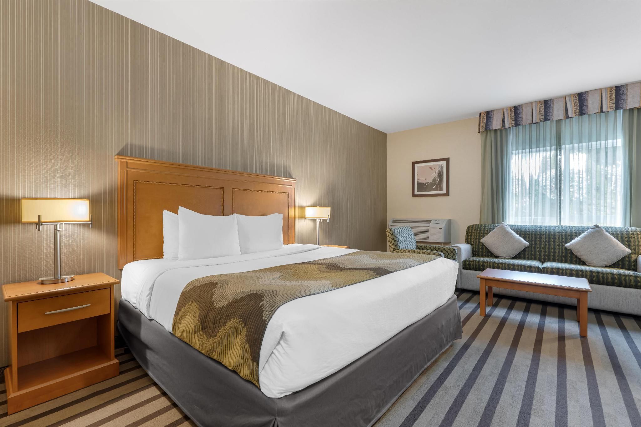 Best Western King George Inn & Suites 1 King Bed, Nonsmoking, First Floor, Poolside, Sofabed 2