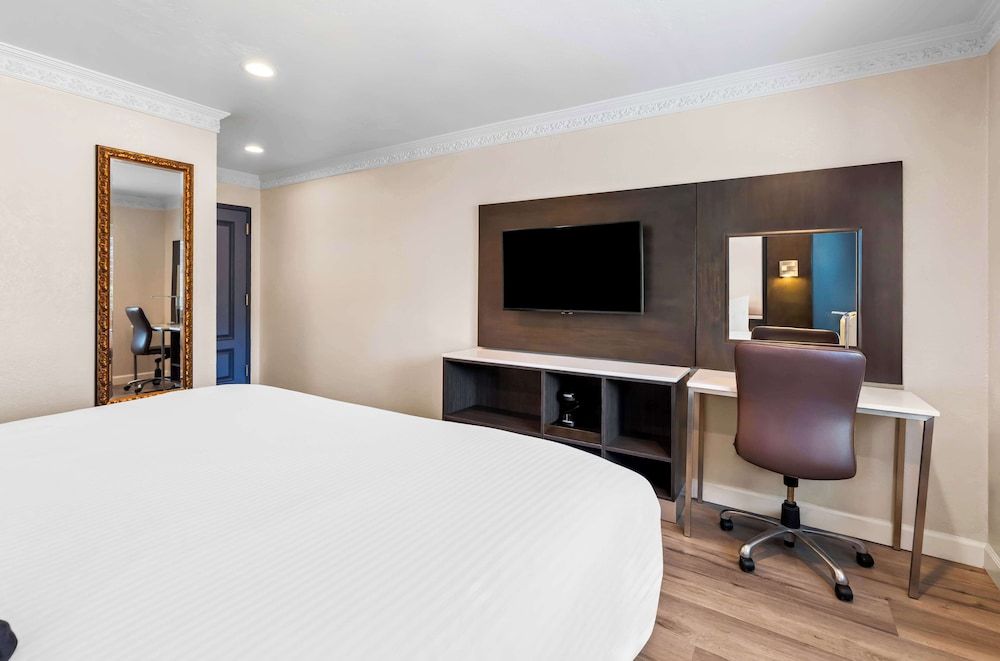 Room, 1 Queen Bed