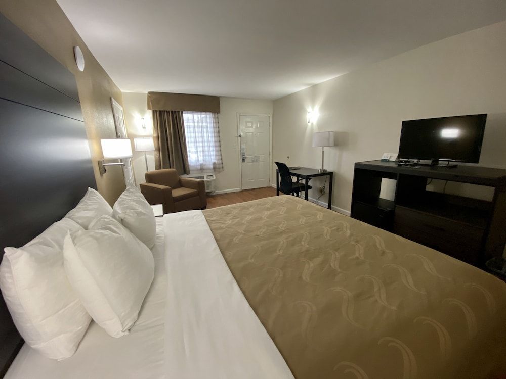 Standard Room, 1 King Bed, Non Smoking