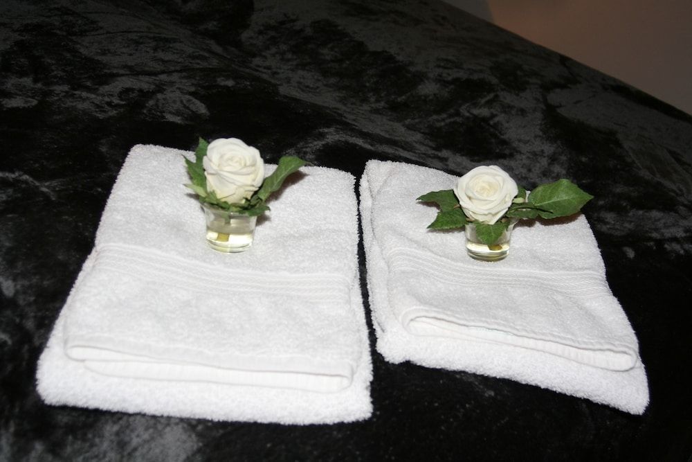 Country Dream guesthouse Comfort Studio Suite, Garden View 14