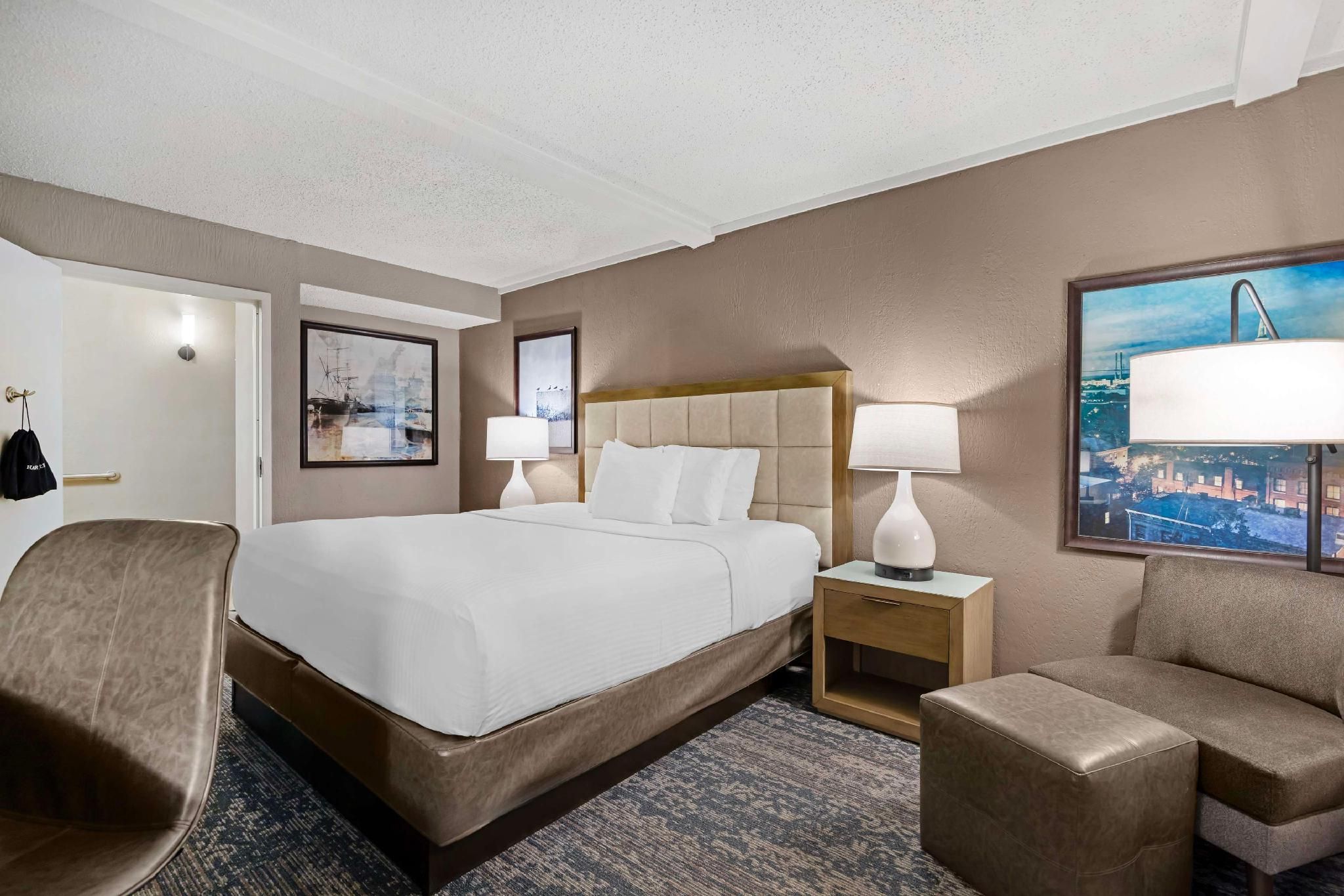 Accessibility - 1 King Bed, Roll-in Shower, Nonsmoking