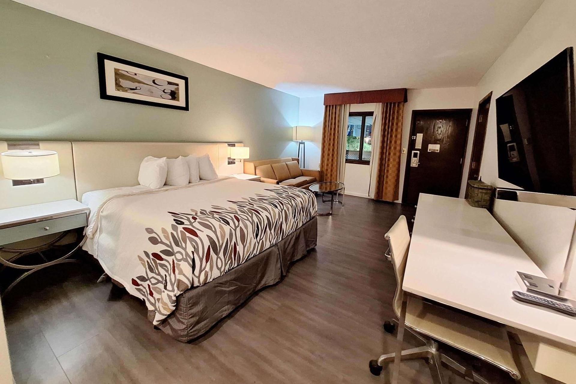 1 King Bed, Non-Smoking