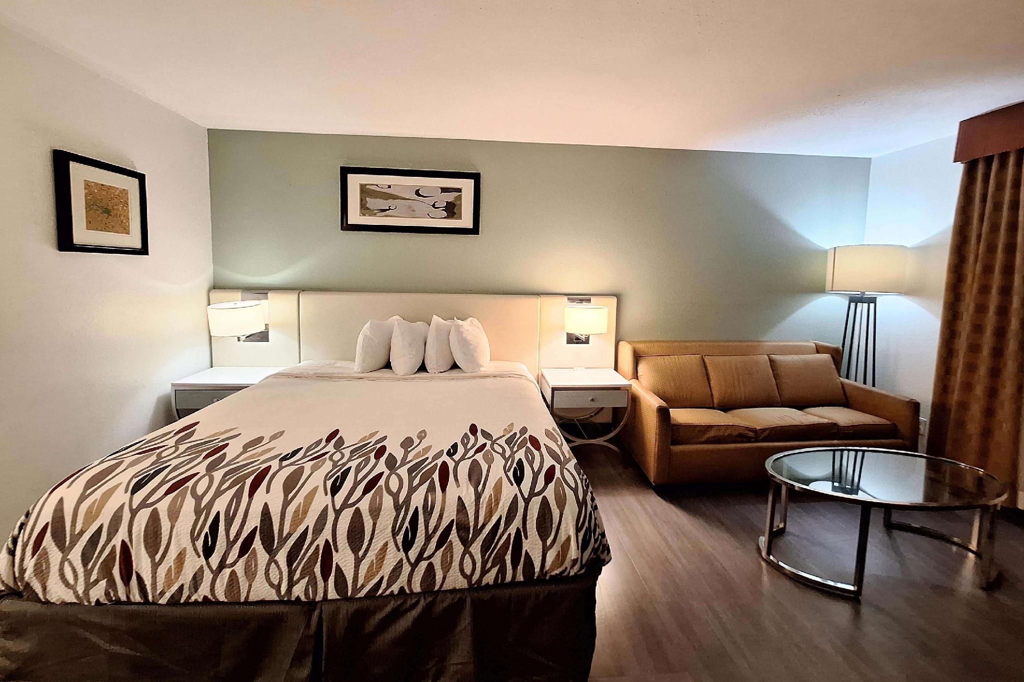 1 King Bed, Lake View, Non-Smoking