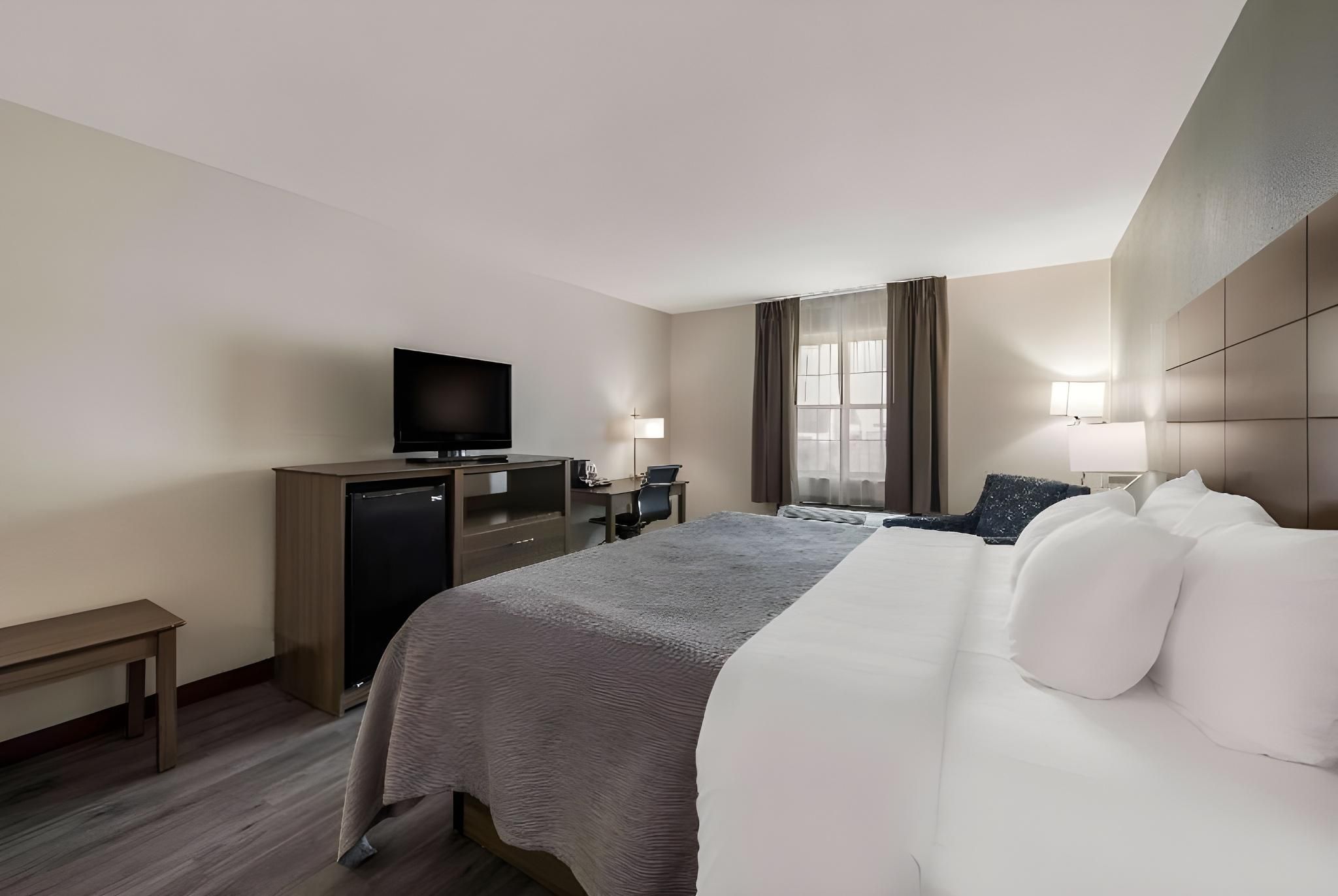 1 King Bed Nonsmoking