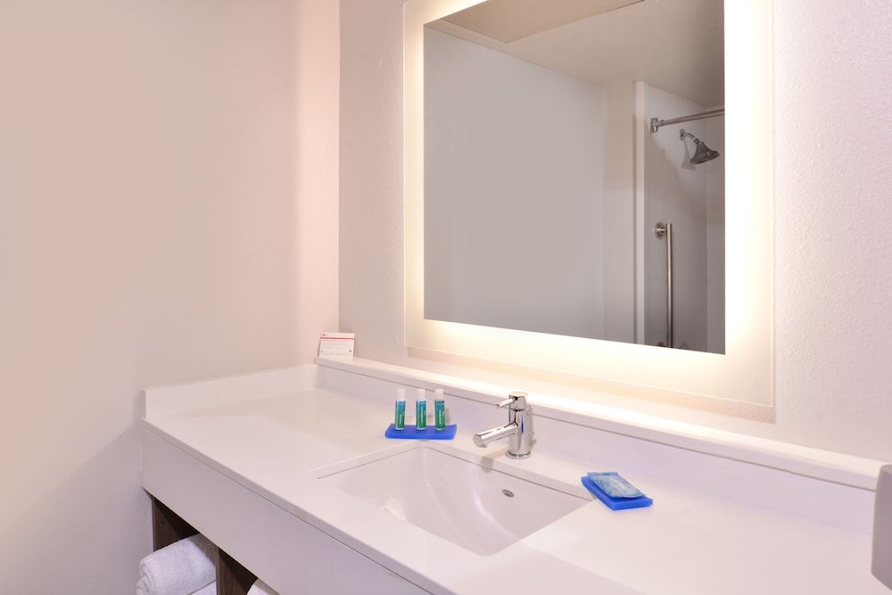 Suite, 1 King Bed with Sofa bed