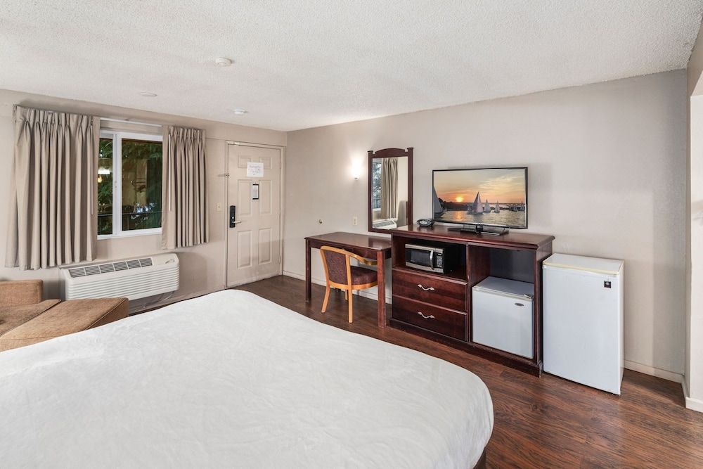 Room, 1 King Bed