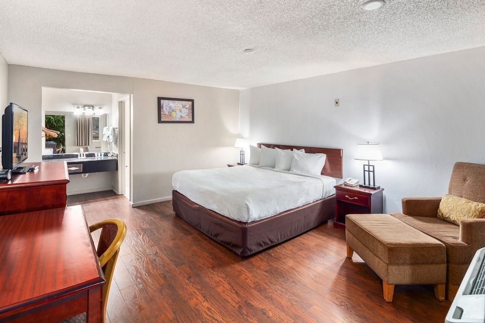 Room, 1 King Bed