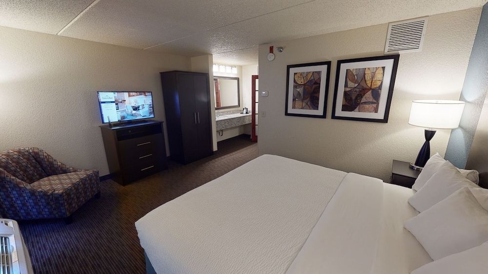 Deluxe Suite, 1 King Bed, Non Smoking (One-Bedroom Suite)
