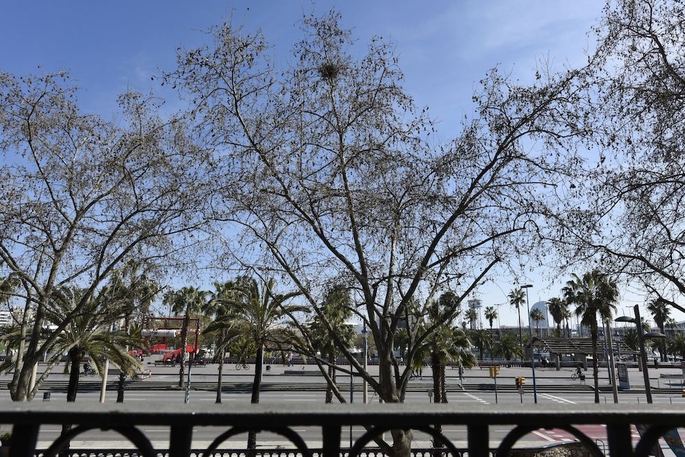 undefined Duquesa de Cardona Hotel 4 Sup by Duquessa Hotel Collection 5