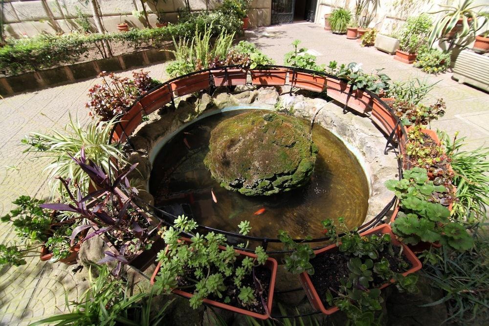 undefined Elegance 10