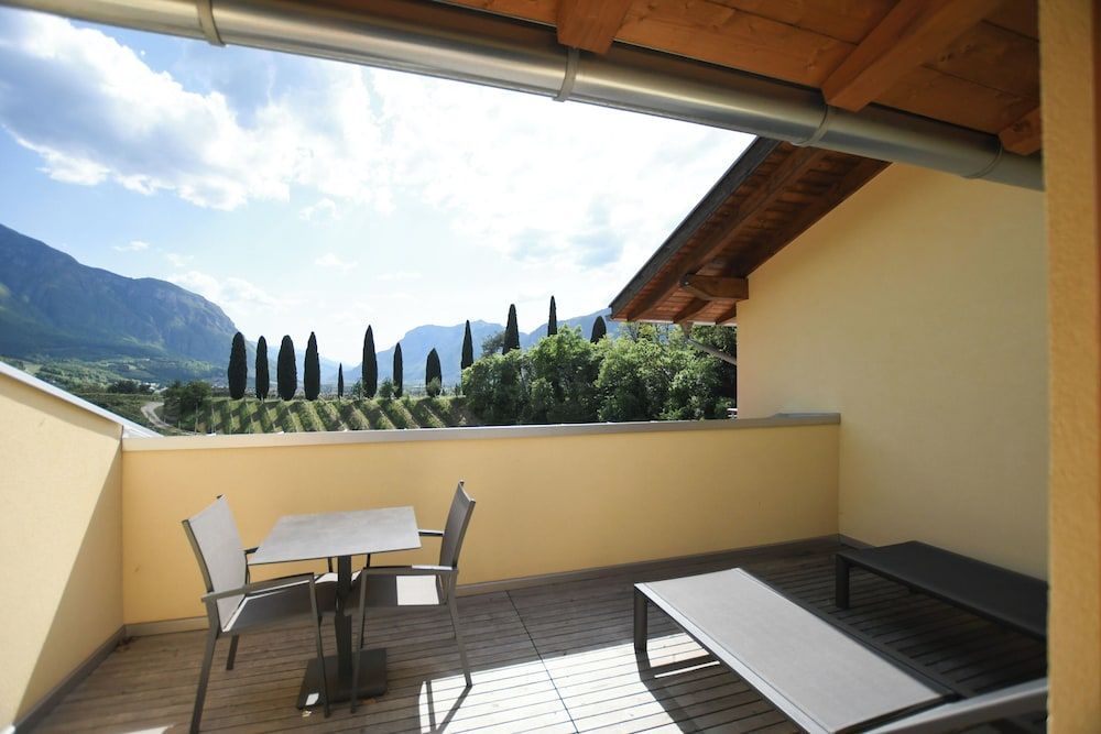 Agritur Casteller Deluxe Double Room, Vineyard View 3