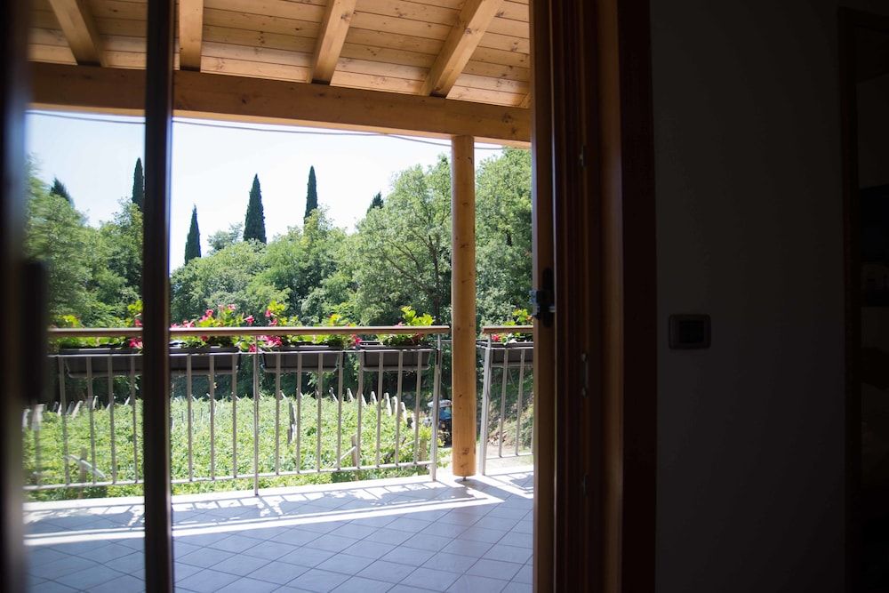 Agritur Casteller Standard Double Room, Vineyard View 4