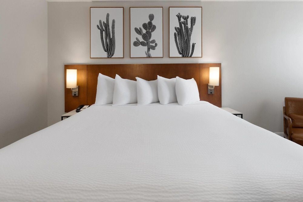 Room, 1 King Bed, Accessible, Non Smoking (Mobility, Roll-in Shower)
