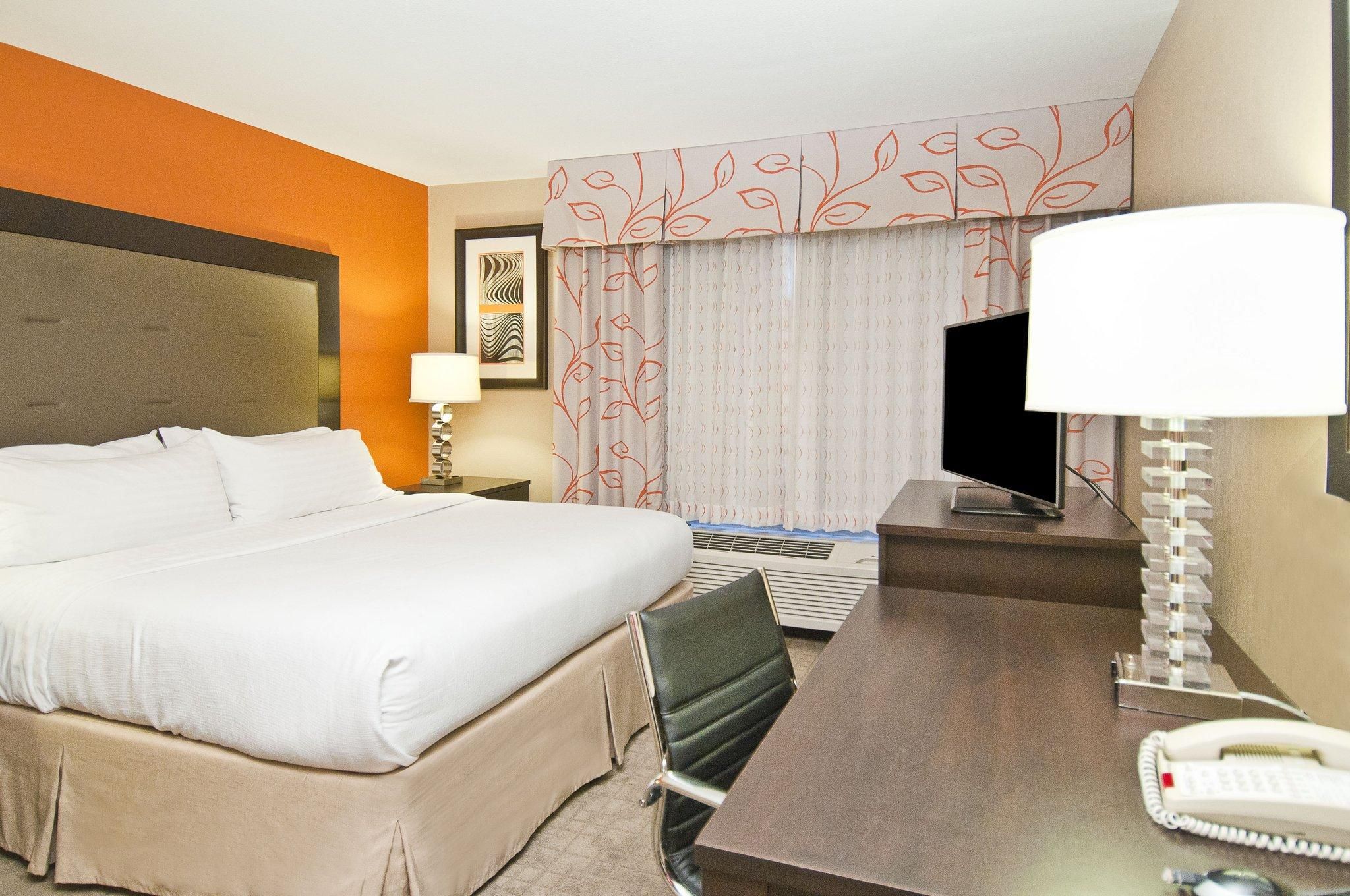 King Bed Luxury Suite Non-Smoking