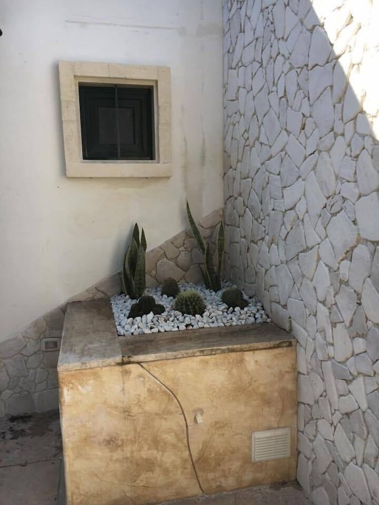 Punta Prosciutto Bed To Rent
