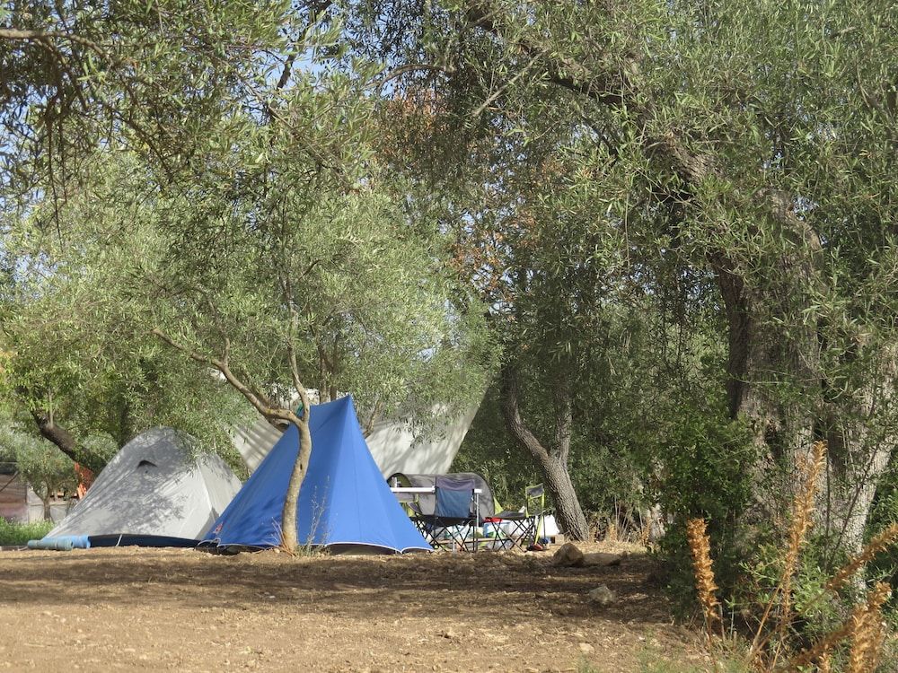 Family Tent, Garden Area (with External Private Bathroom)