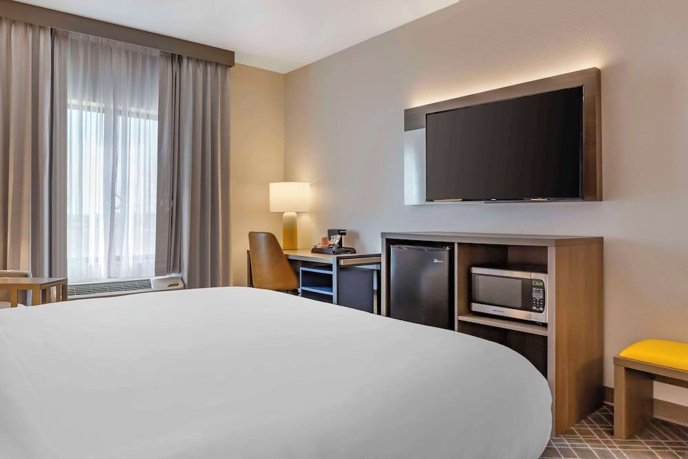 Room, 1 King Bed, Accessible, Non Smoking (Roll-in Shower)