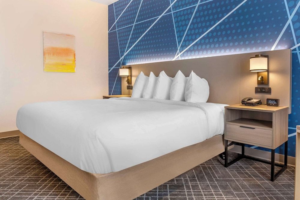 Room, 1 King Bed, Accessible, Non Smoking (Roll-in Shower)