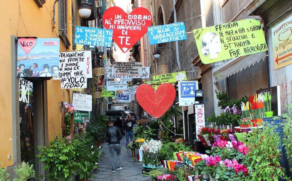 undefined Toledostop 6