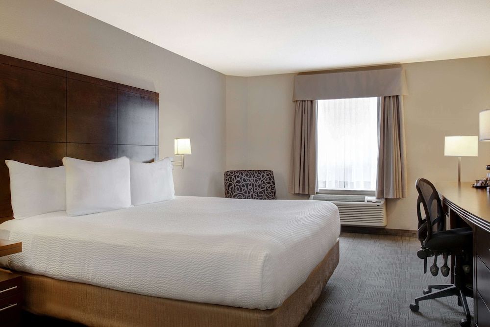 Classic 1 King Bed Room