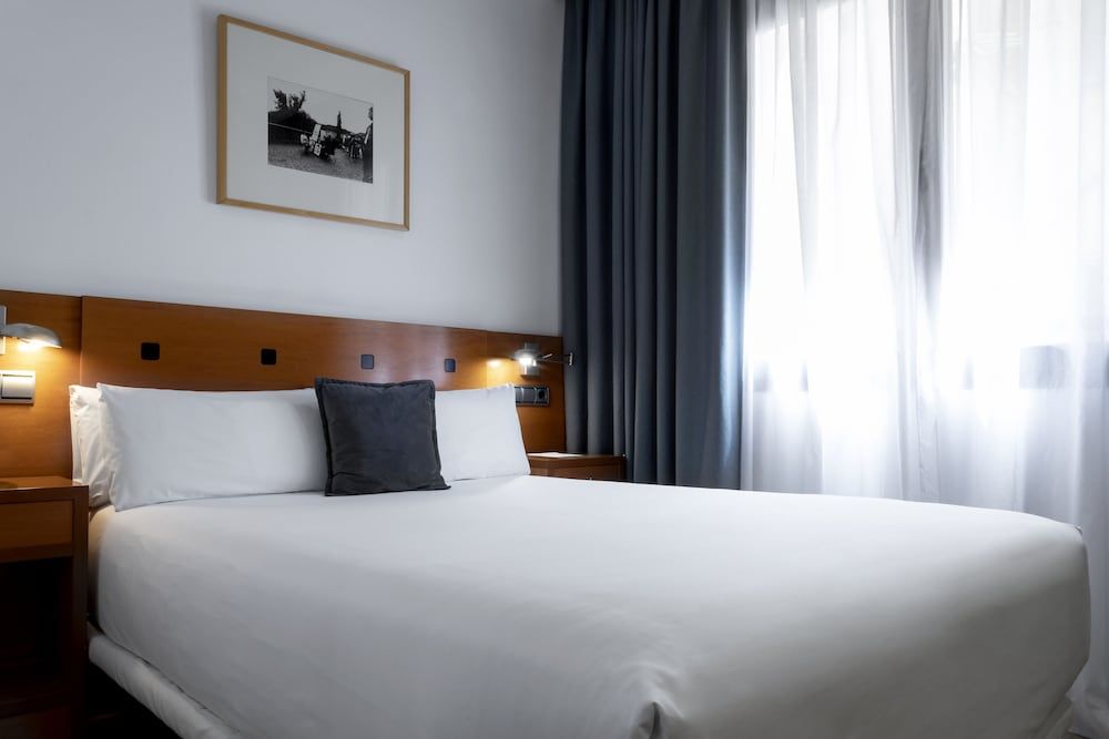 Petit Palace Cliper Gran Vía Economy Double Room 3