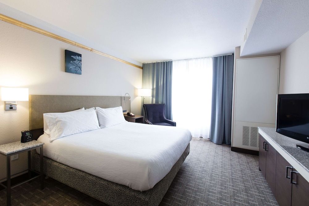 Junior Suite, 1 King Bed