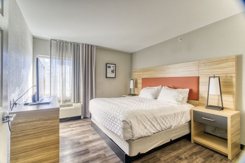 Suite, 1 King Bed