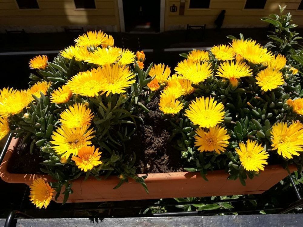 B&B Rome Charming House Double Room with Balcony and Private External Bathroom 11