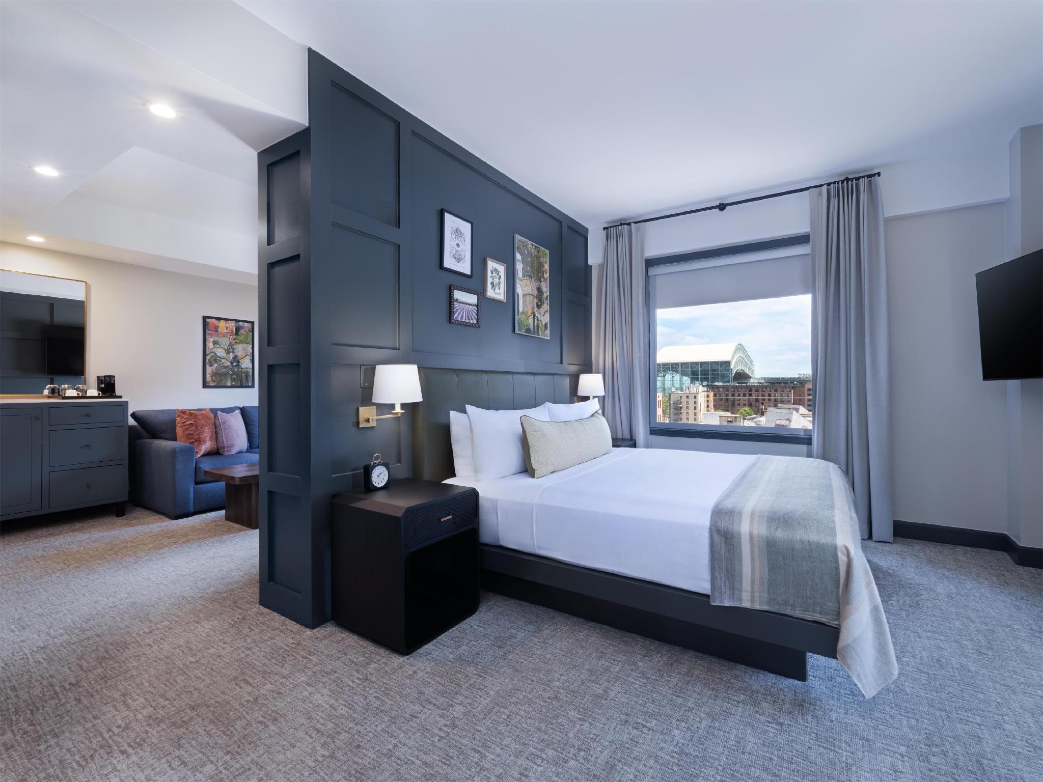 1 Kng 1 Bdrm Ste Mobility/hearing Access W/ Tub