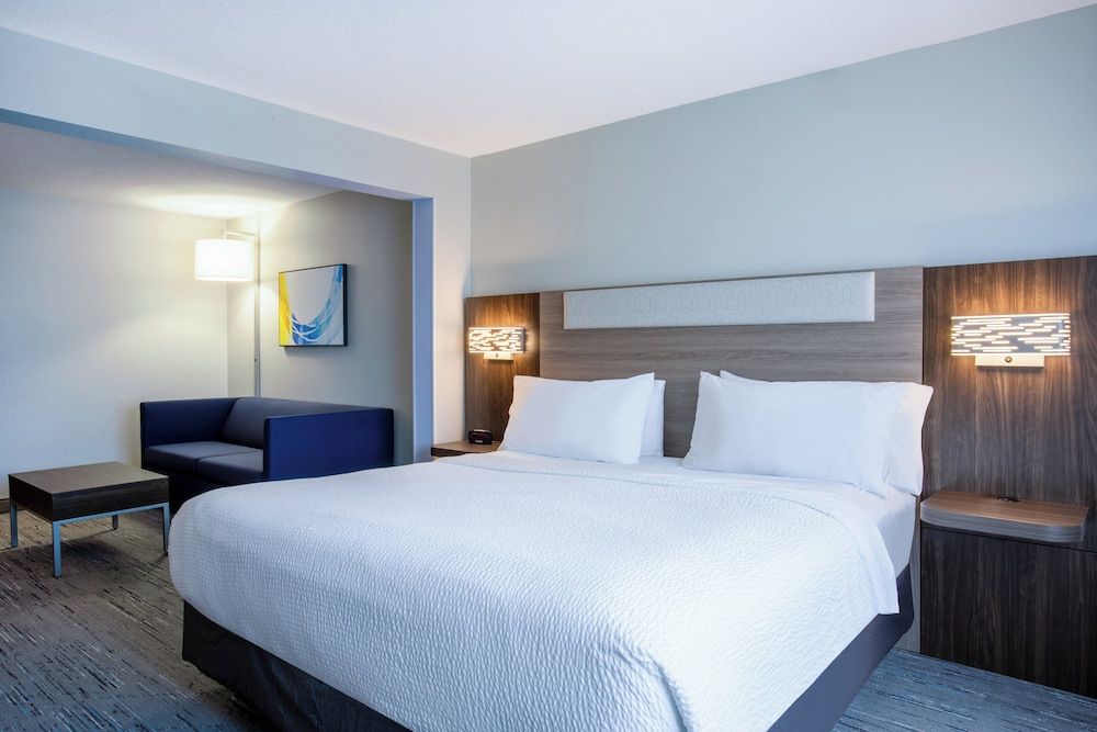 Room, 1 King Bed with Sofa bed