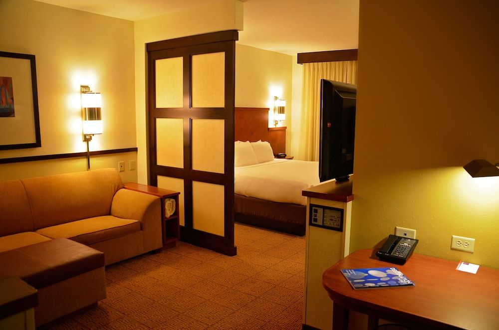 Room, 1 King Bed, Accessible Bathtub