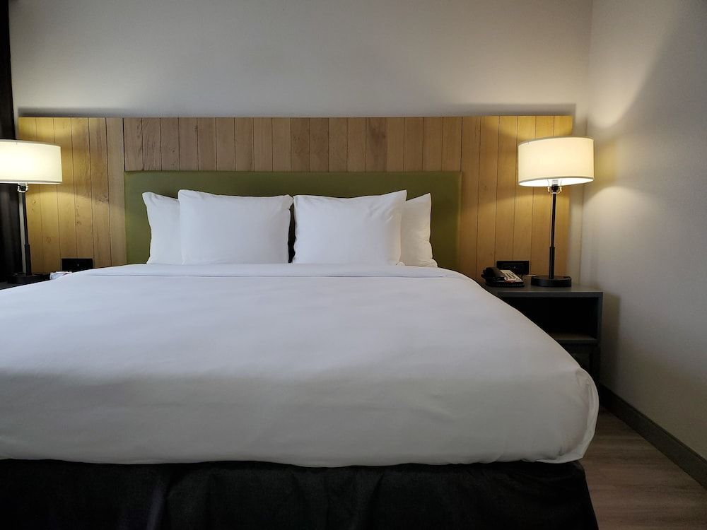 Suite, 1 Bedroom, Non Smoking