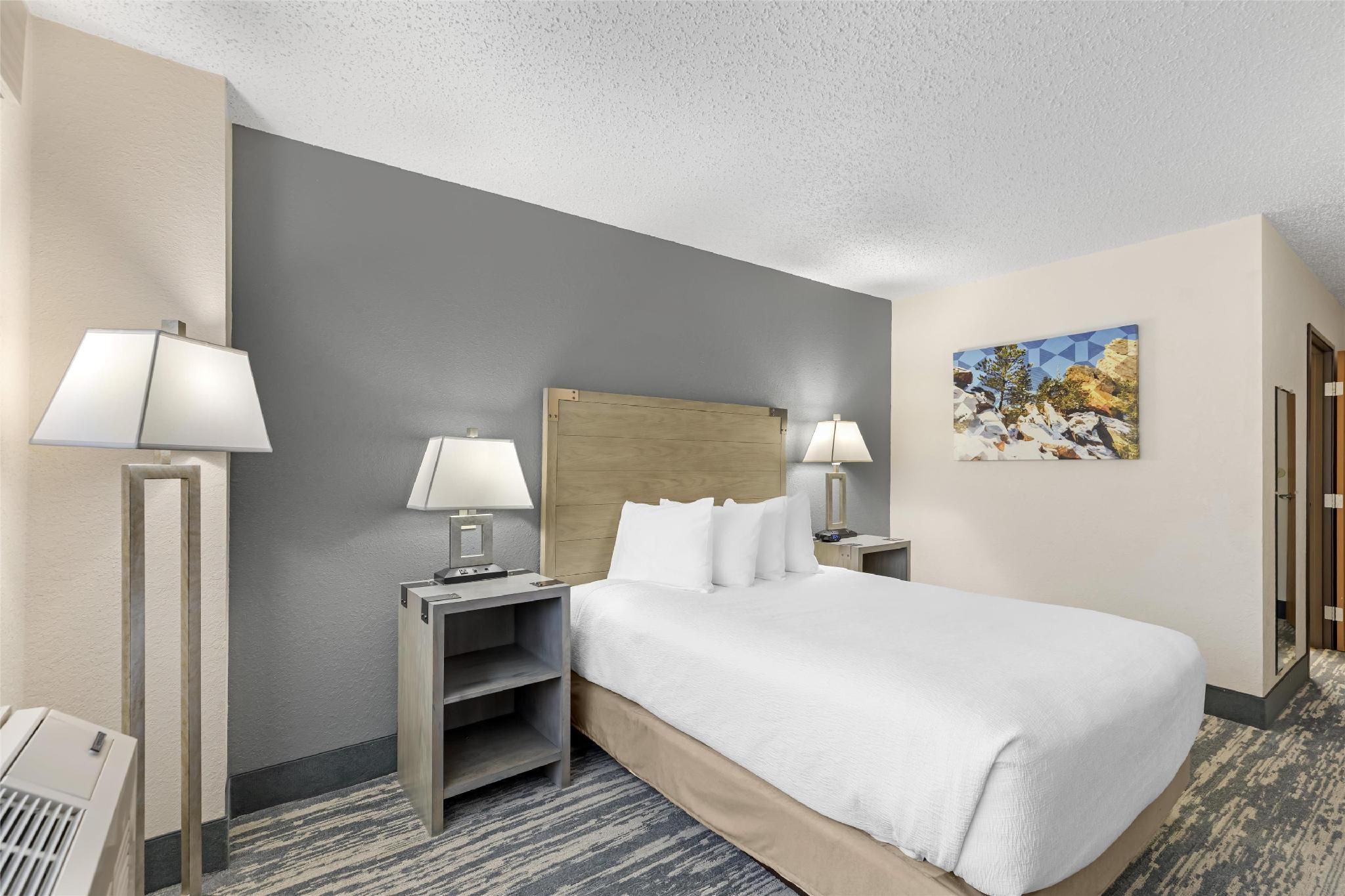 Accessibility - 1 Queen Bed, Roll-in Shower, Nonsmoking