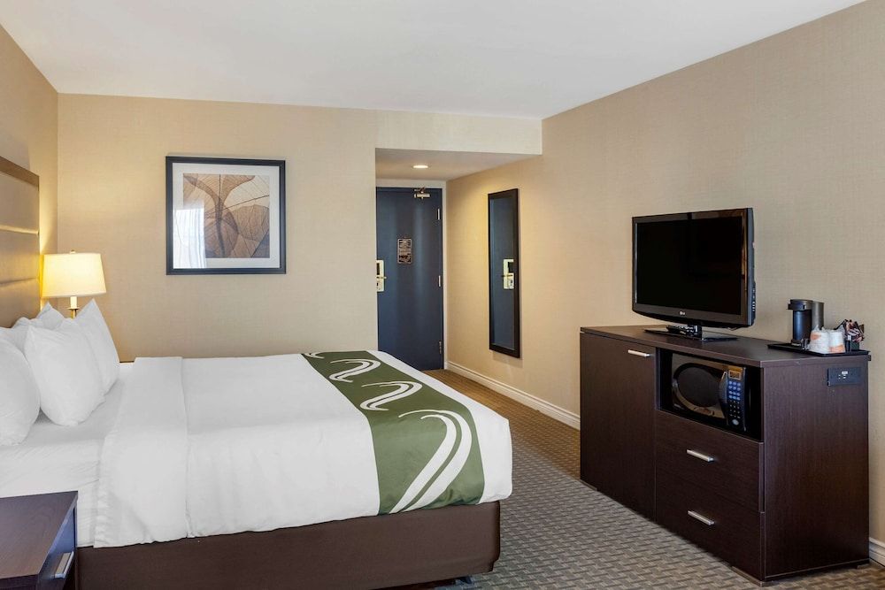 Executive Room, 1 King Bed with Sofa bed, Non Smoking (1 Person Sofa Bed)