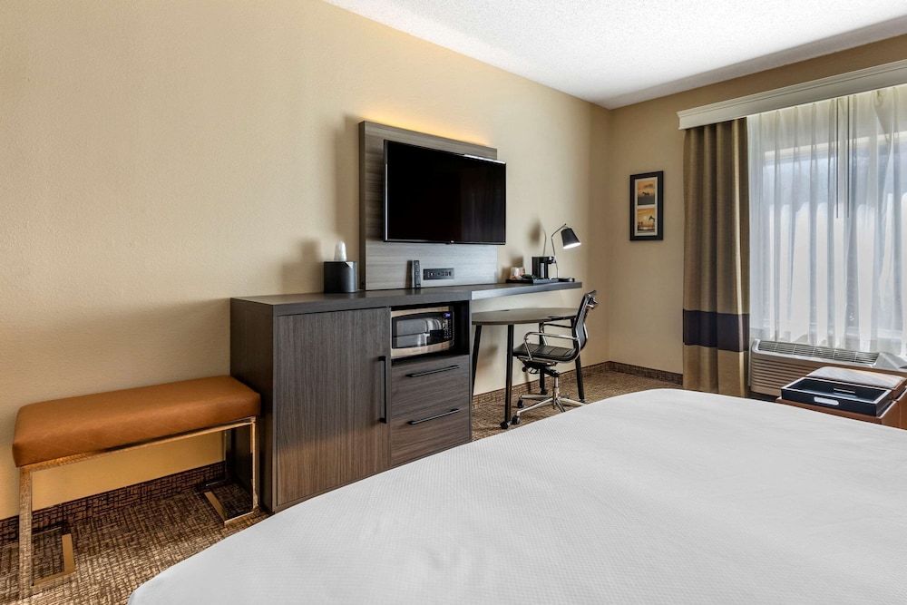 Suite, 1 King Bed with Sofa bed, Non Smoking