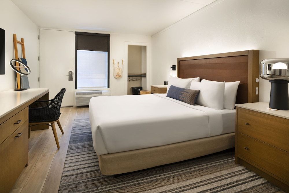 Room, 1 King Bed, Non Smoking (Mobility Accessible, Roll-in Shower)