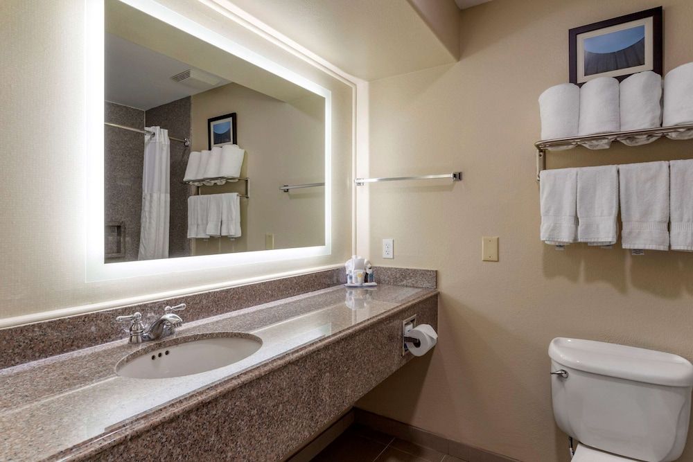 undefined Comfort Suites near Texas Medical Center - NRG Stadium 10