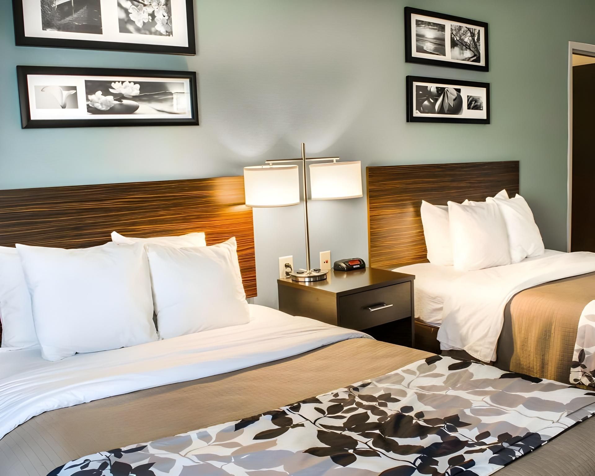 1 King Bed, Nonsmoking