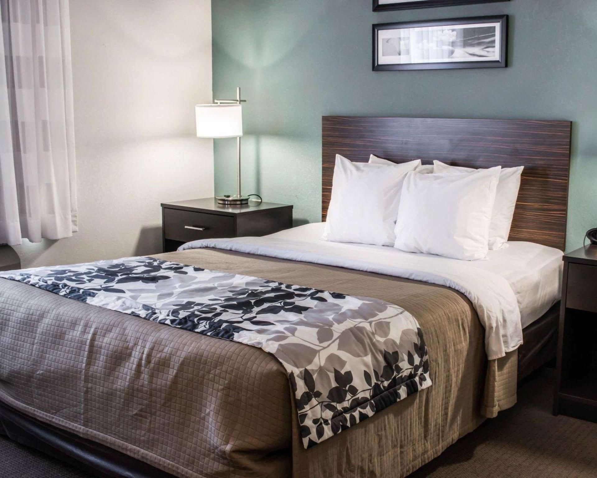 1 Queen Bed, Nonsmoking, Accessible