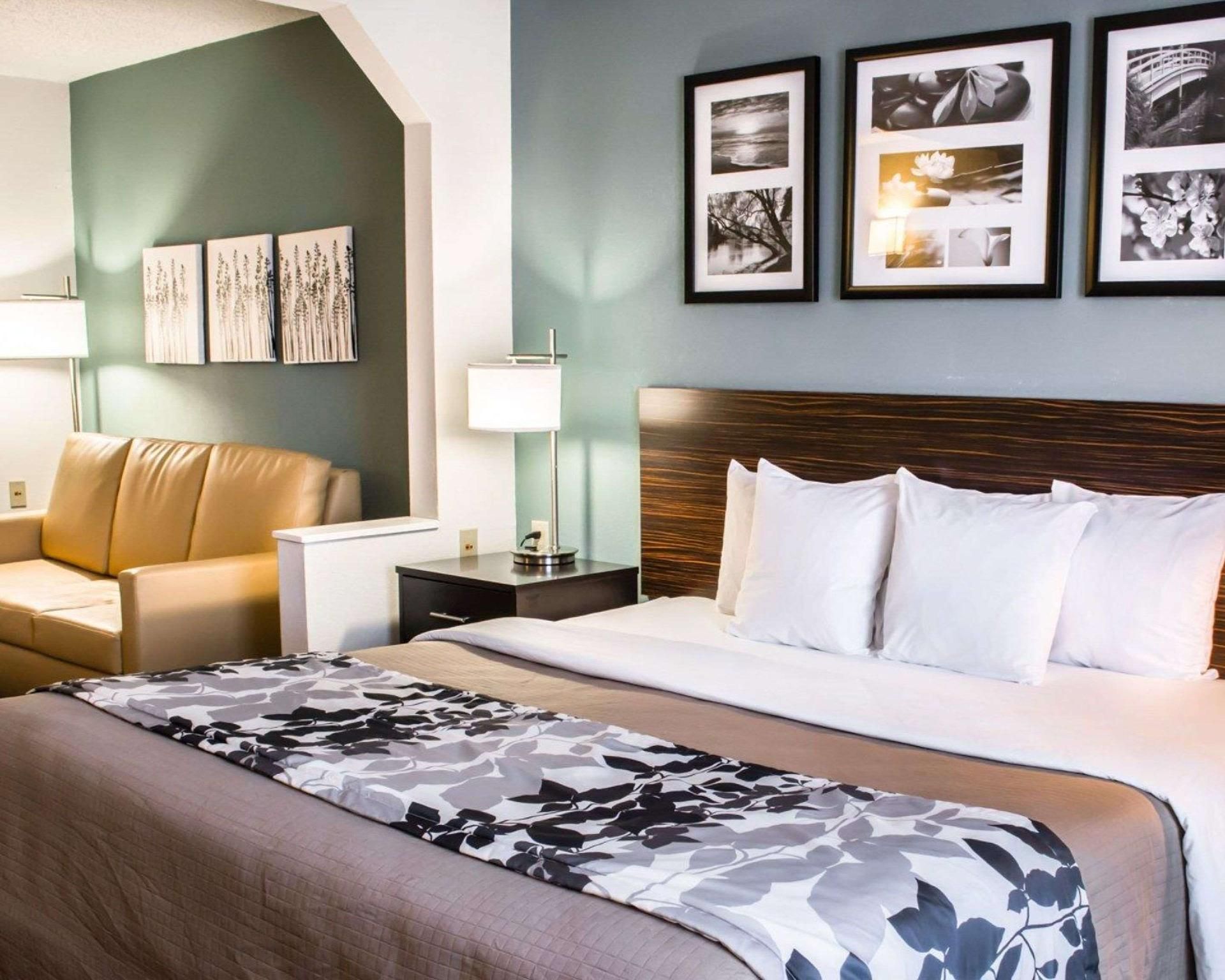 1 King Bed, Suite, Nonsmoking, Accessible