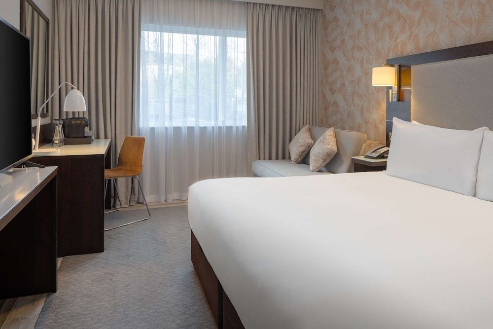 Superior Room, 1 King Bed with Sofa bed