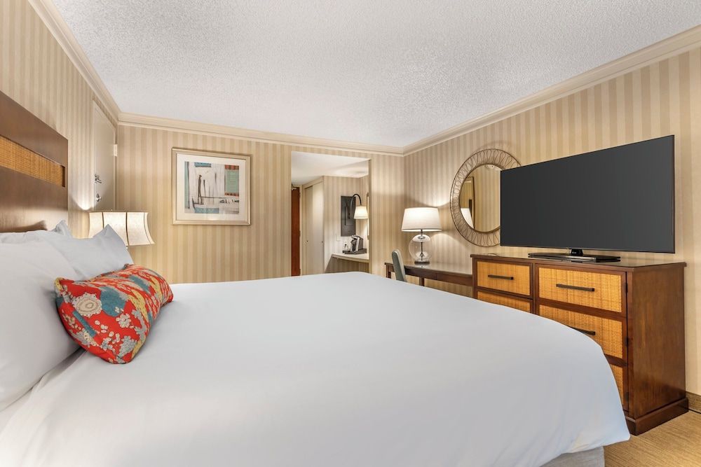 Omni Corpus Christi Hotel Executive Suite, 1 King Bed 3