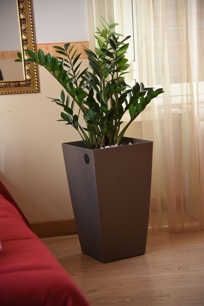 B&B The Queens Triple Room 15