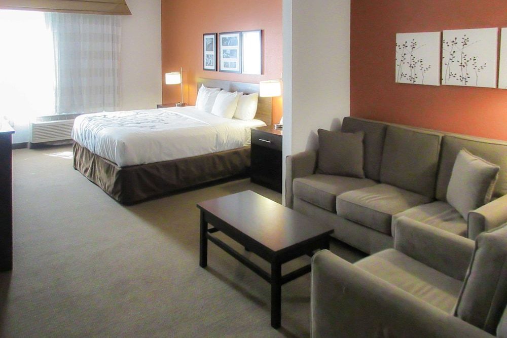 Suite, 1 King Bed with Sofa bed, Accessible, Non Smoking