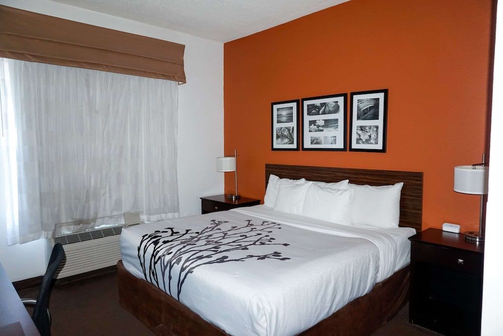 Standard Room, 1 King Bed, Non Smoking