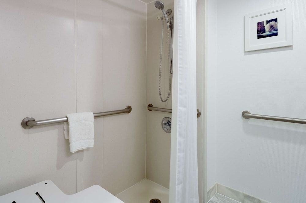 Hampton Inn Manhattan-Chelsea Room, 1 King Bed, Accessible (Roll-In Shower) 4