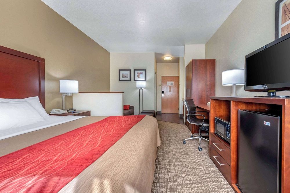 Suite, 1 King Bed with Sofa bed, Non Smoking